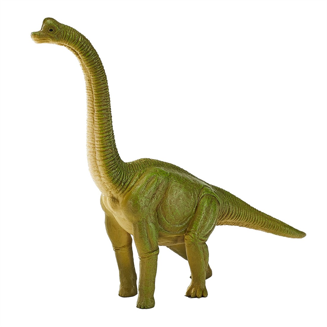 Gedeeltelijk Betsy Trotwood Monarchie Mojo speelgoed dinosaurus Brachiosaurus groen - 387212 kopen?