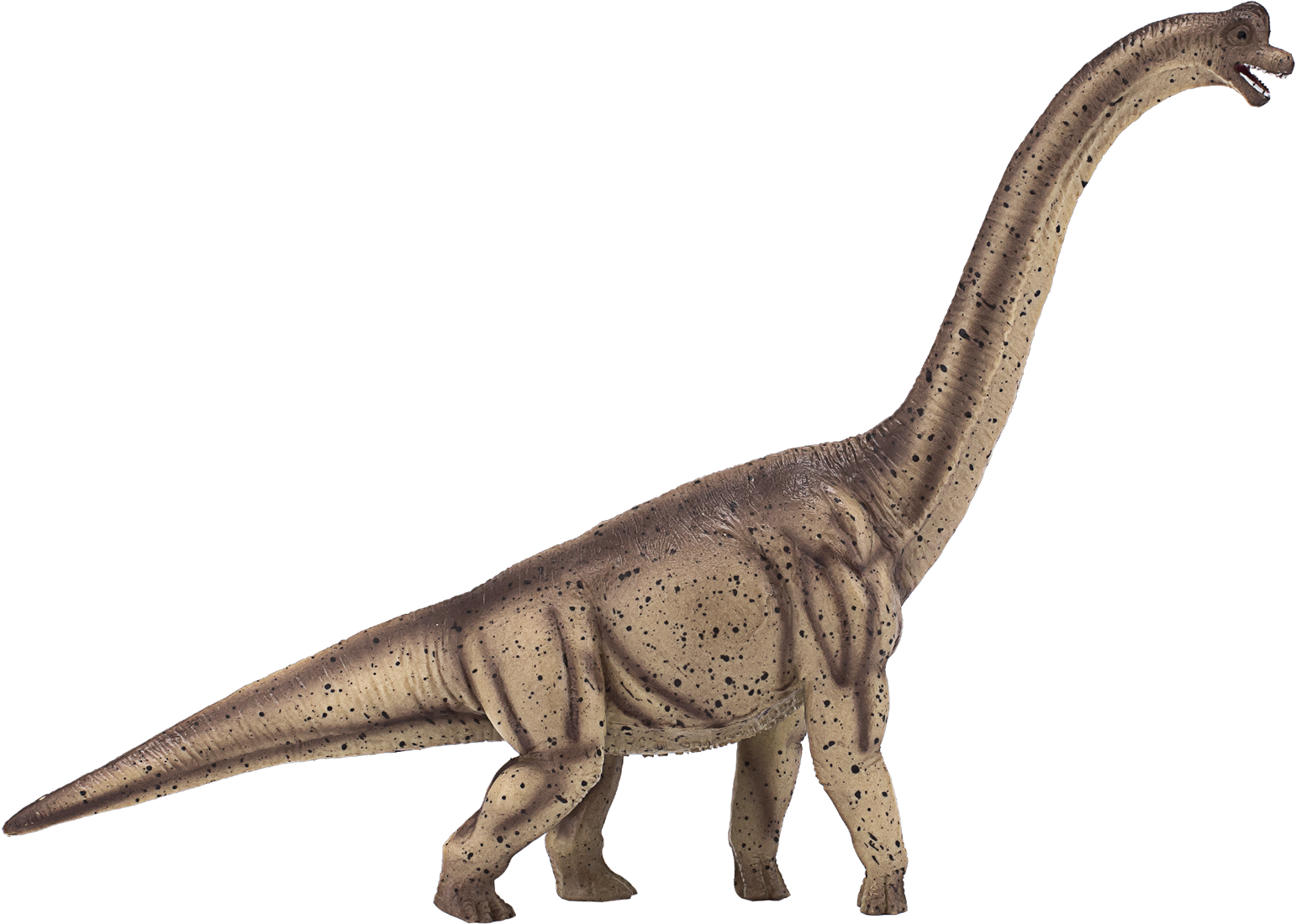 abortus Graden Celsius Zachtmoedigheid Mojo speelgoed dinosaurus Deluxe Brachiosaurus 387381 kopen?